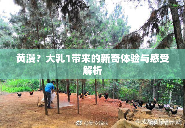 黄漫？大乳1带来的新奇体验与感受解析