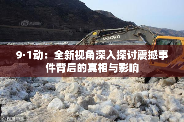 9·1动：全新视角深入探讨震撼事件背后的真相与影响