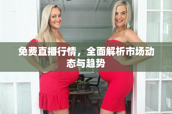 免费直播行情，全面解析市场动态与趋势