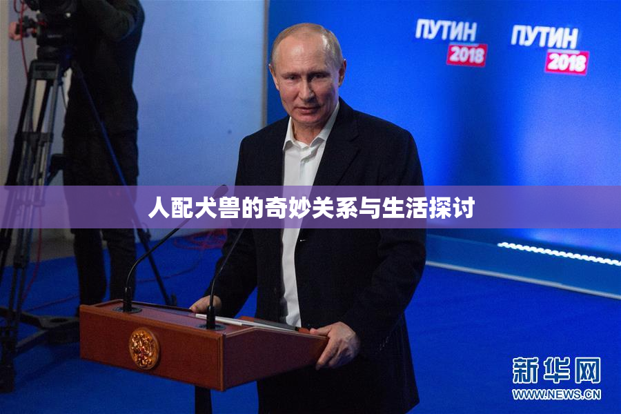 人配犬兽的奇妙关系与生活探讨