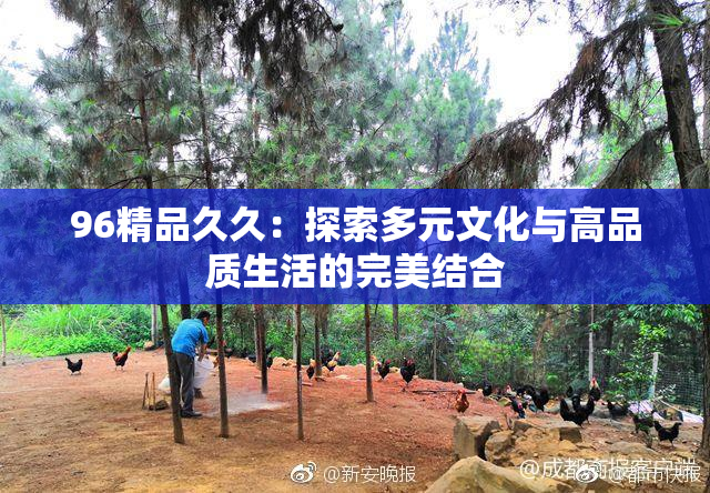 96精品久久：探索多元文化与高品质生活的完美结合