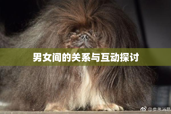 男女间的关系与互动探讨