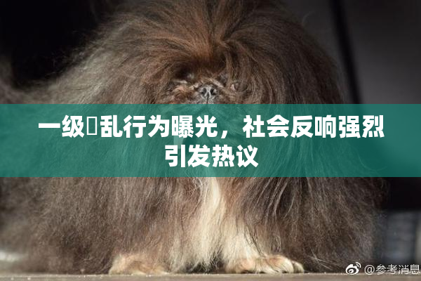 一级婬乱行为曝光，社会反响强烈引发热议