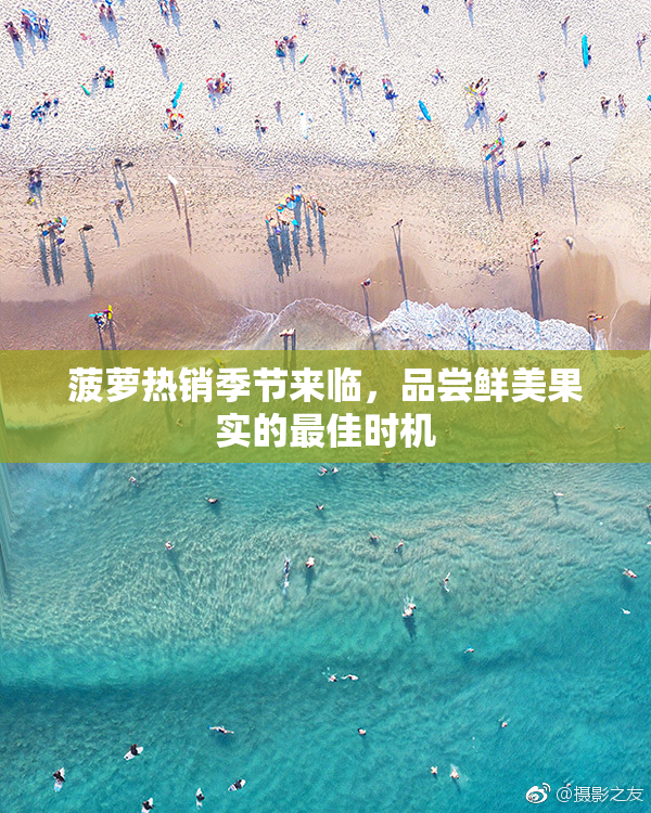 菠萝热销季节来临，品尝鲜美果实的最佳时机