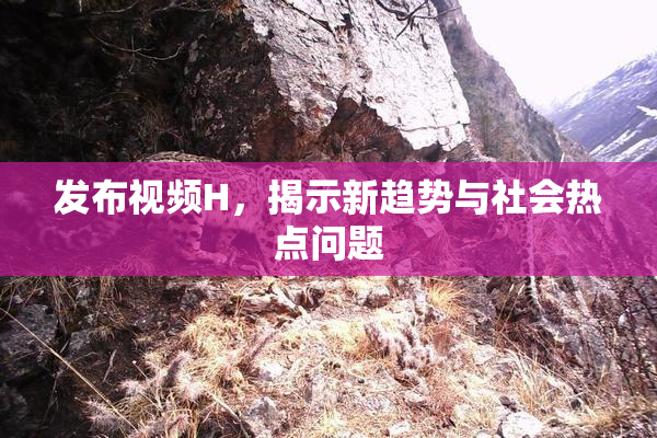 发布视频H，揭示新趋势与社会热点问题