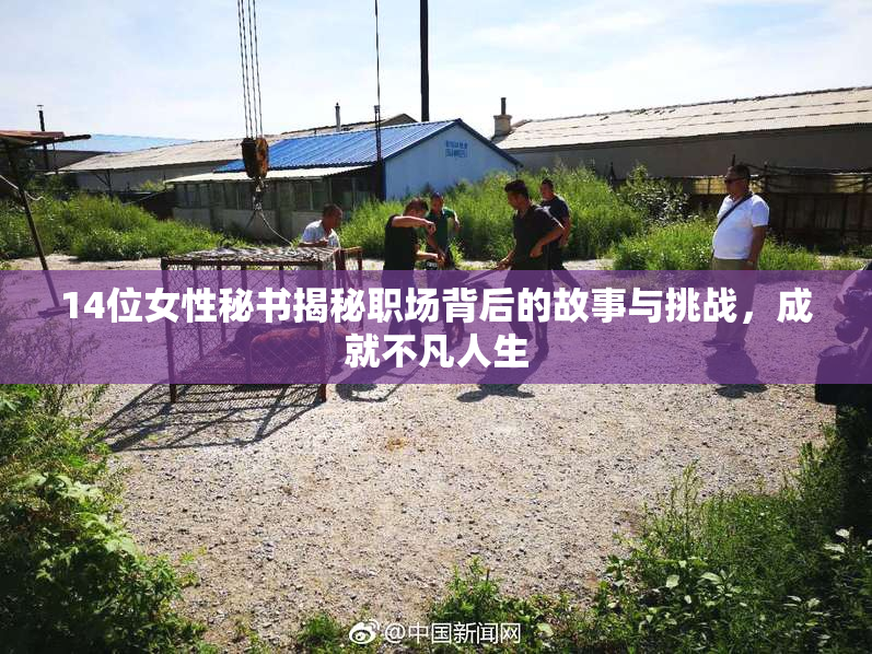 14位女性秘书揭秘职场背后的故事与挑战，成就不凡人生