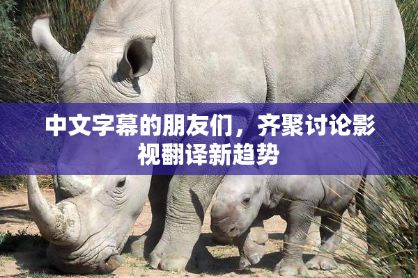 中文字幕的朋友们，齐聚讨论影视翻译新趋势