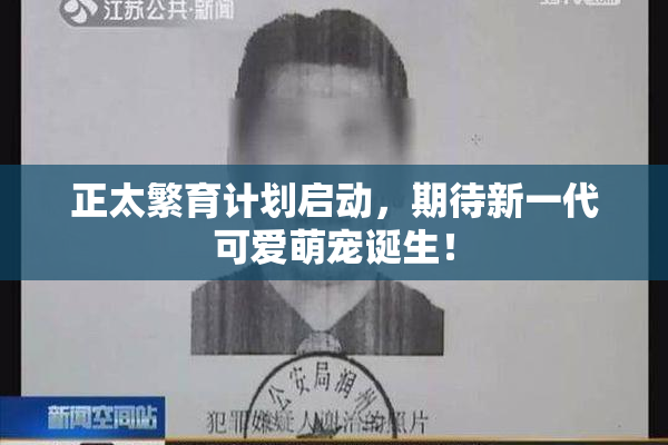 正太繁育计划启动，期待新一代可爱萌宠诞生！