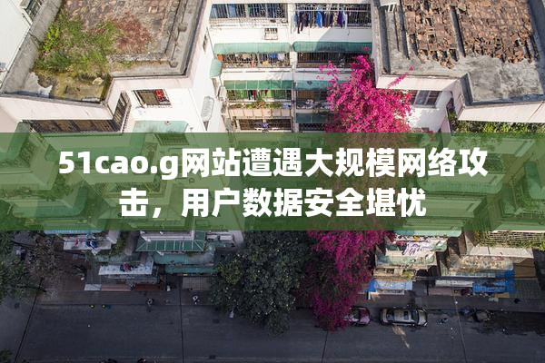 51cao.g网站遭遇大规模网络攻击，用户数据安全堪忧