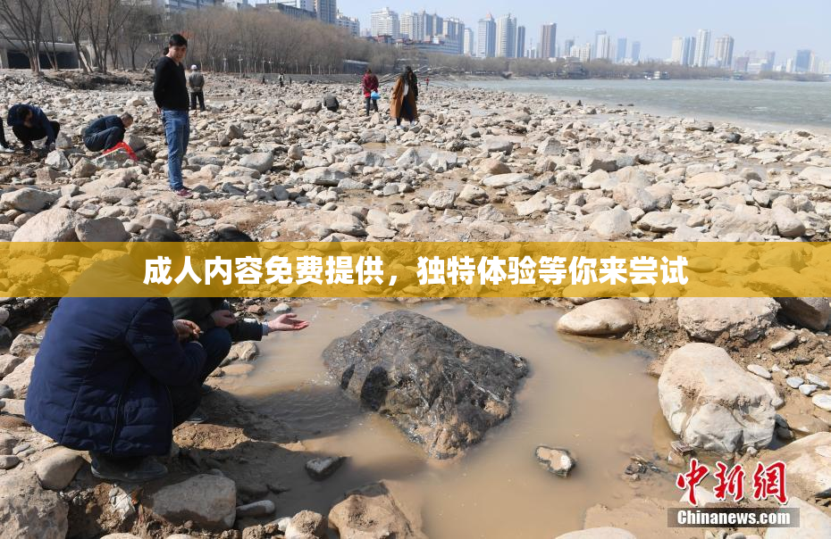 成人内容免费提供，独特体验等你来尝试