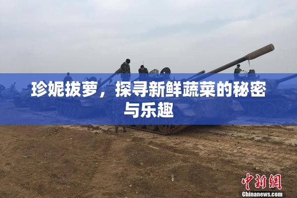 珍妮拔萝，探寻新鲜蔬菜的秘密与乐趣