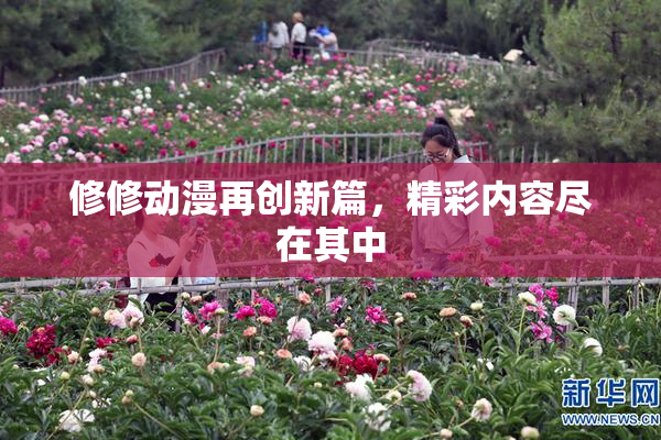 修修动漫再创新篇，精彩内容尽在其中