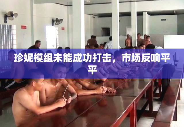 珍妮模组未能成功打击，市场反响平平