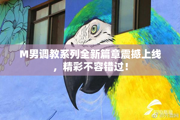 M男调教系列全新篇章震撼上线，精彩不容错过！
