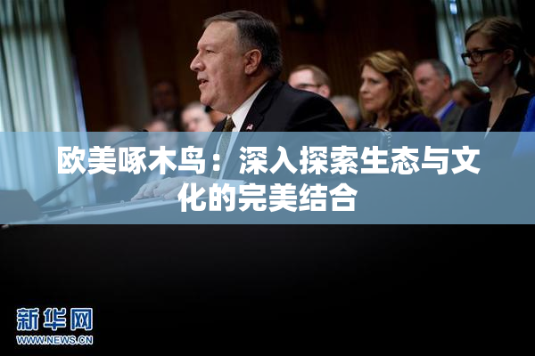 欧美啄木鸟：深入探索生态与文化的完美结合