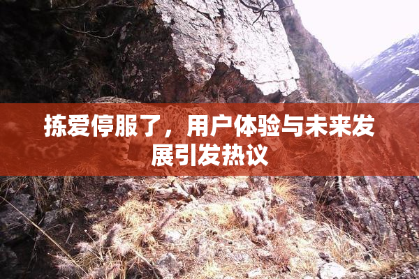 拣爱停服了，用户体验与未来发展引发热议
