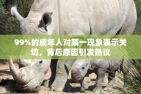 99%的成年人对某一现象表示关切，背后原因引发热议