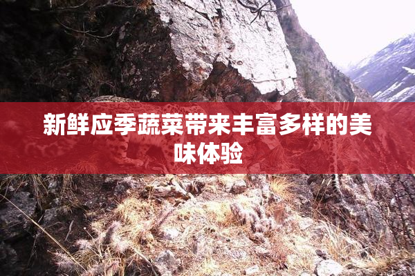 新鲜应季蔬菜带来丰富多样的美味体验