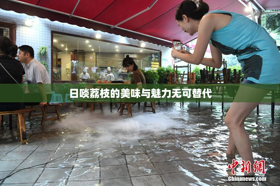 日啖荔枝的美味与魅力无可替代