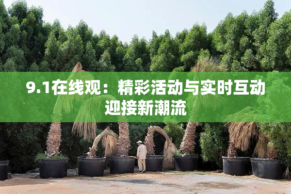 9.1在线观：精彩活动与实时互动迎接新潮流