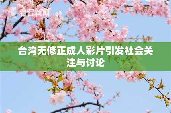 台湾无修正成人影片引发社会关注与讨论