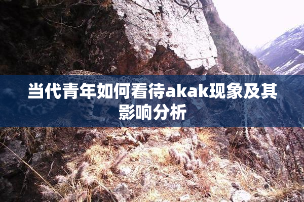 当代青年如何看待akak现象及其影响分析