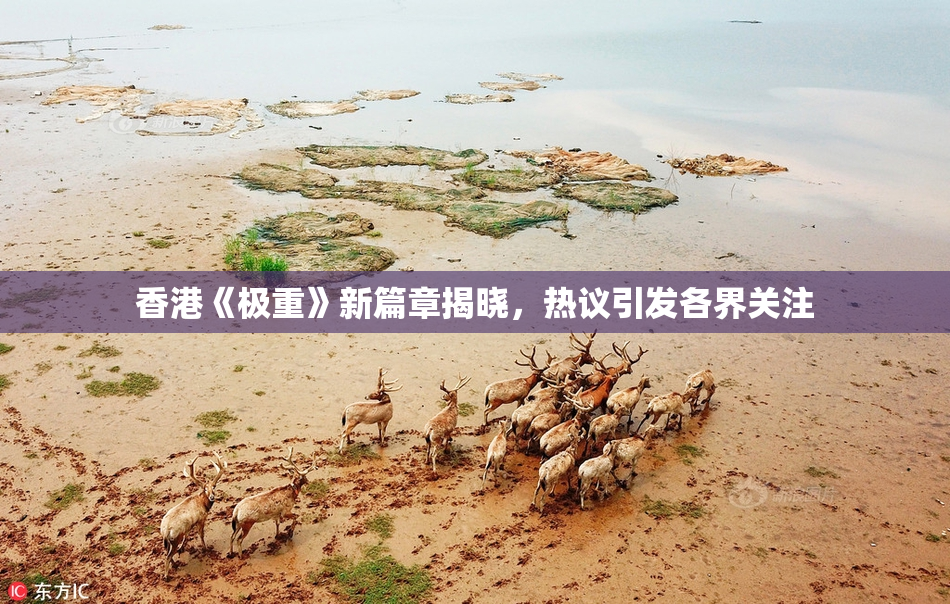 香港《极重》新篇章揭晓，热议引发各界关注