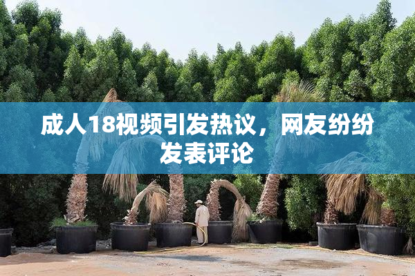 成人18视频引发热议，网友纷纷发表评论
