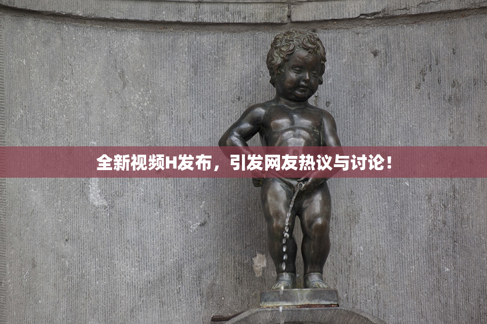 全新视频H发布，引发网友热议与讨论！