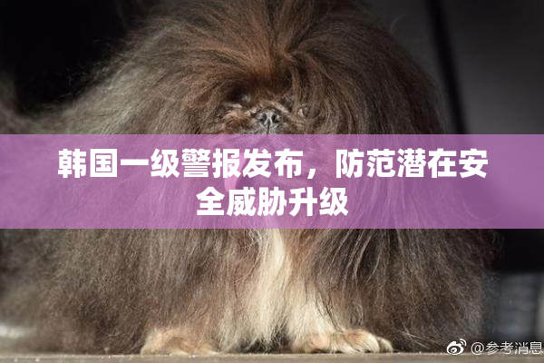 韩国一级警报发布，防范潜在安全威胁升级