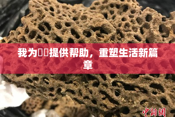 我为妺妺提供帮助，重塑生活新篇章