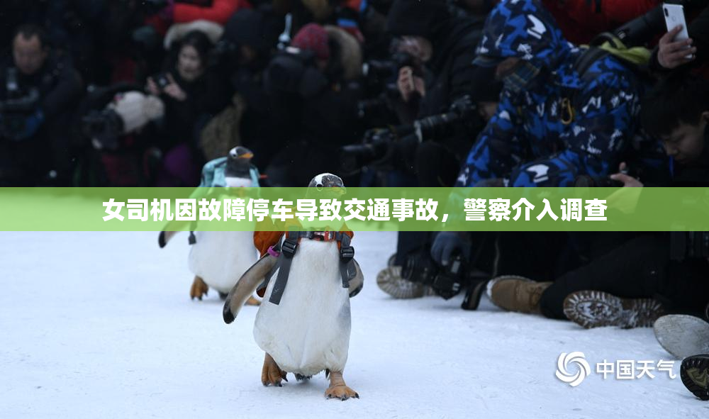 女司机因故障停车导致交通事故，警察介入调查