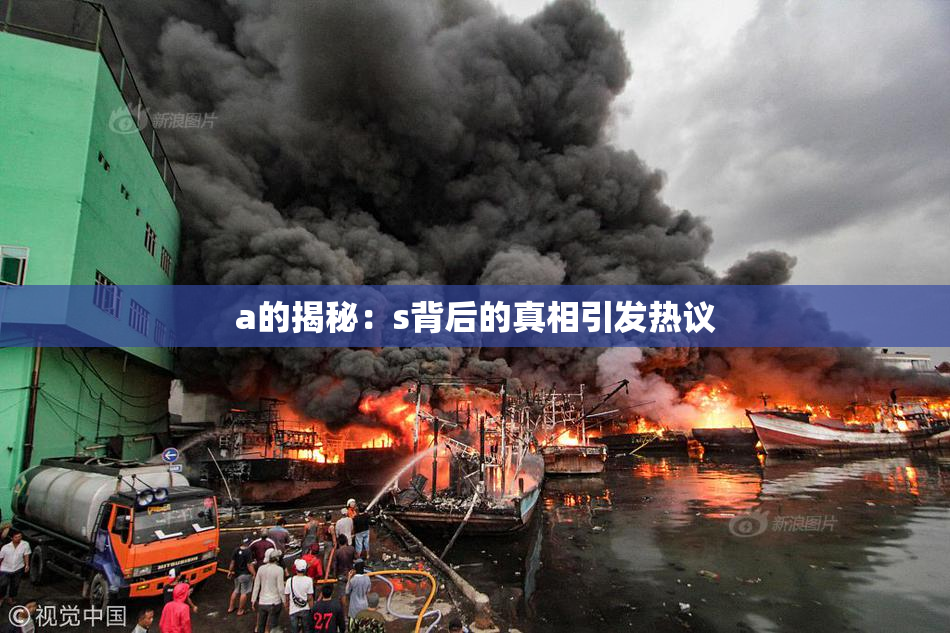 a的揭秘：s背后的真相引发热议