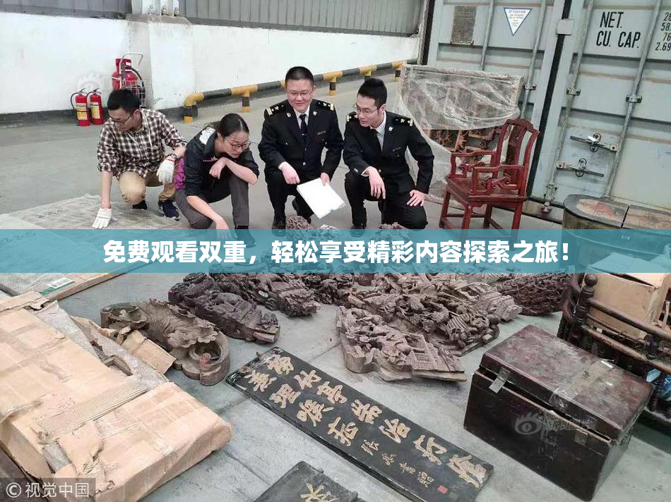 免费观看双重，轻松享受精彩内容探索之旅！