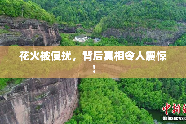 花火被侵扰，背后真相令人震惊！