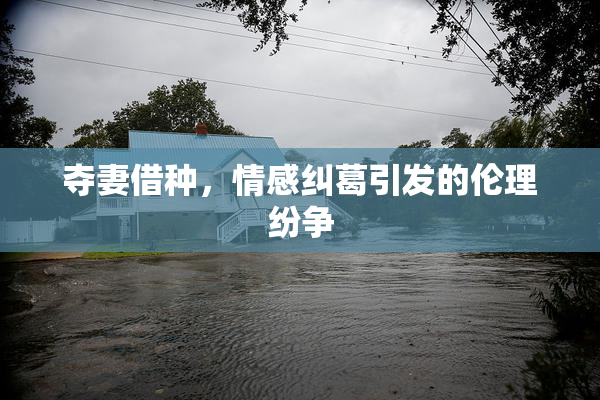 夺妻借种，情感纠葛引发的伦理纷争