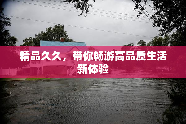 精品久久，带你畅游高品质生活新体验