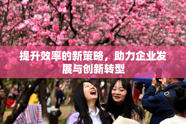 提升效率的新策略，助力企业发展与创新转型