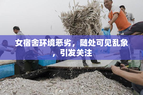 女宿舍环境恶劣，随处可见乱象，引发关注