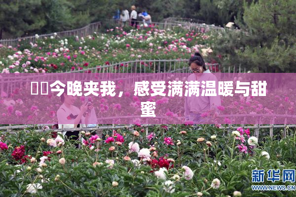 妺妺今晚夹我，感受满满温暖与甜蜜