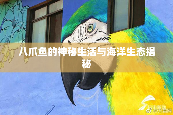 八爪鱼的神秘生活与海洋生态揭秘