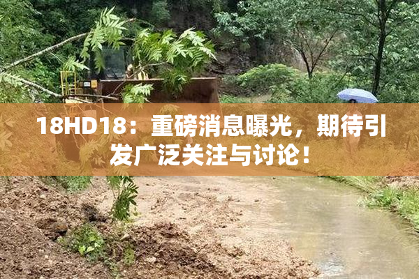 18HD18：重磅消息曝光，期待引发广泛关注与讨论！