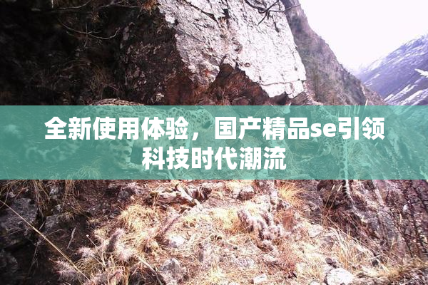 全新使用体验，国产精品se引领科技时代潮流