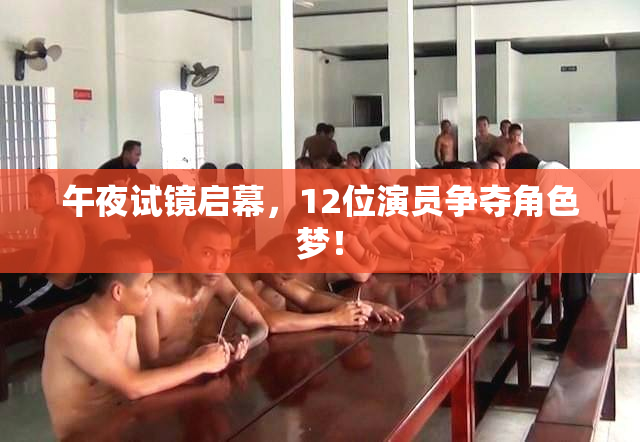 午夜试镜启幕，12位演员争夺角色梦！