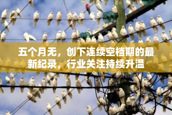 五个月无，创下连续空档期的最新纪录，行业关注持续升温