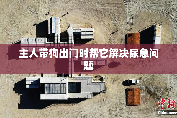 主人带狗出门时帮它解决尿急问题
