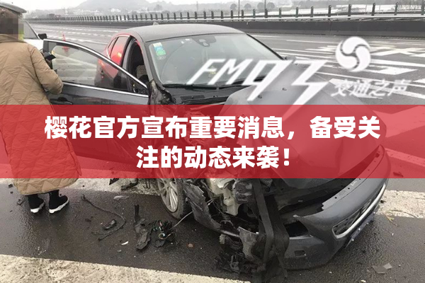 樱花官方宣布重要消息，备受关注的动态来袭！