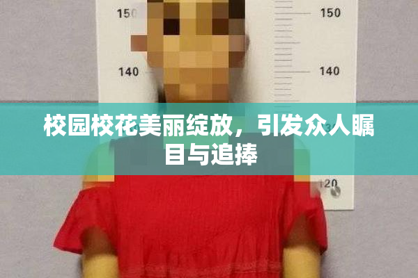 校园校花美丽绽放，引发众人瞩目与追捧