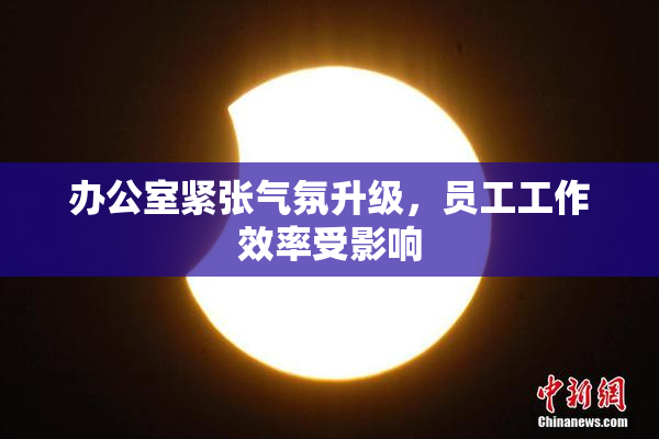 办公室紧张气氛升级，员工工作效率受影响