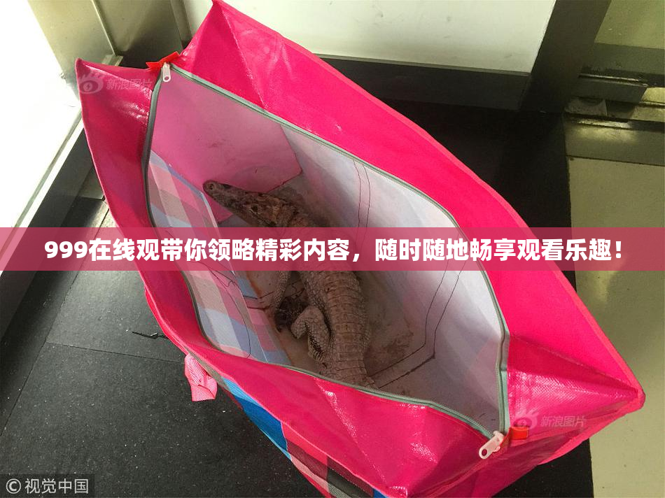 999在线观带你领略精彩内容，随时随地畅享观看乐趣！